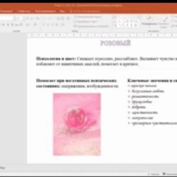 25 января проведено вебинарное занятие